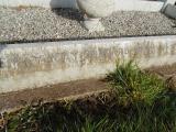 image of grave number 477093